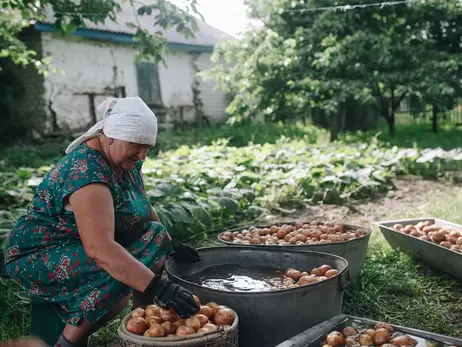 «Цыганка», «Пьяница» и «Пикассо»: какими сортами славится картофельная столица Украины