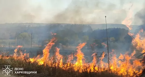 Из-за масштабного пожара на Харьковщине эвакуируют целое село