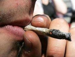 В Голландии оштрафовали мужчину за то, что он курил табак, а не марихуану  
