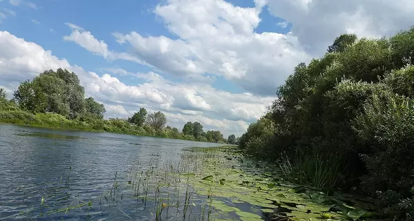 На Сумщине опасаются повторного загрязнения реки Сейм - качество воды ухудшилось