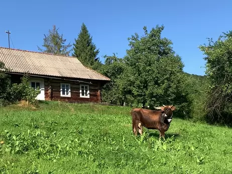 Недвижимость в Карпатах: «хатынка с печкой» за 5000 долларов и дворцы в ассортименте