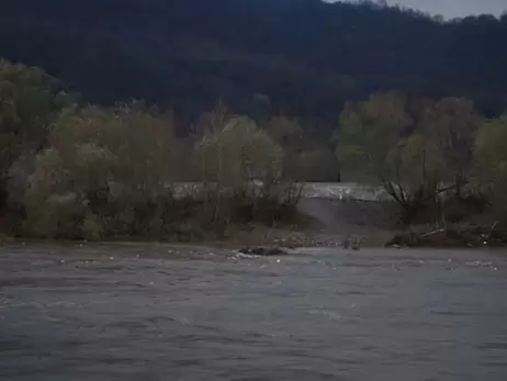 На Закарпатье пограничники показали, как бурый медведь переплыл Тису