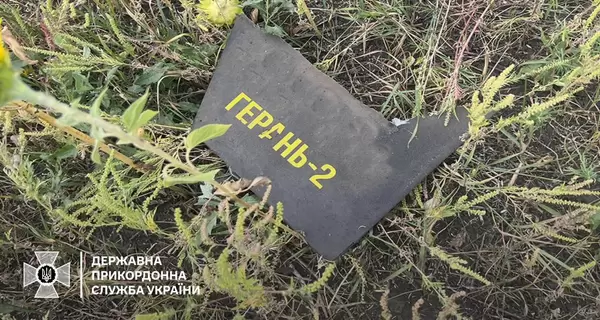 Сили ППО збили 32 дрони та дві ракети «Кинджал»