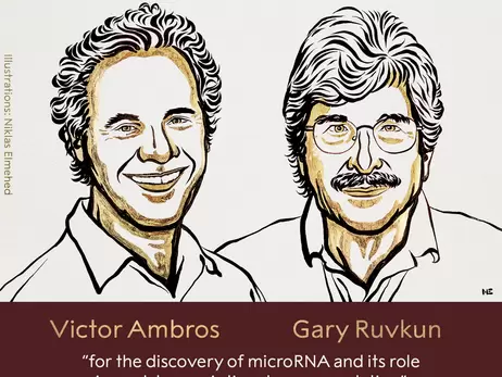 Нобелевку по медицине-2024 дали американским ученым за открытие микроРНК