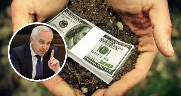 Ущерб государству от земельных схем в Нацакадемии аграрных наук достигает 20 млн долларов в год - СМИ