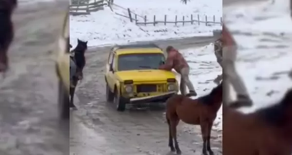 Жители Буковины, которые напали на сотрудников ТЦК с топорами, получили более трех лет тюрьмы