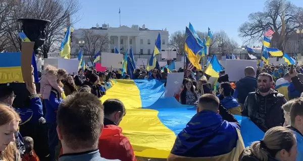 В чем сила американских украинцев и кого они поддержат на выборах президента США