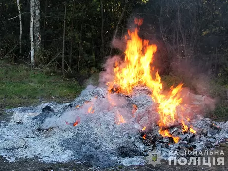 Житомирська поліція спалила 60 кг амфетаміну, опіуму та марихуани