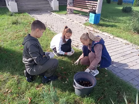 Куплю каштаны: из плодов изготавливают лекарства, антицеллюлитные кремы и корм для коз