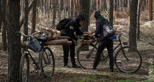 У «Слузі народу» спростували, що «закон про дрова» вимагає документи на їхнє зберігання 