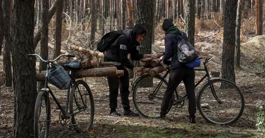 У «Слузі народу» спростували, що «закон про дрова» вимагає документи на їхнє зберігання 