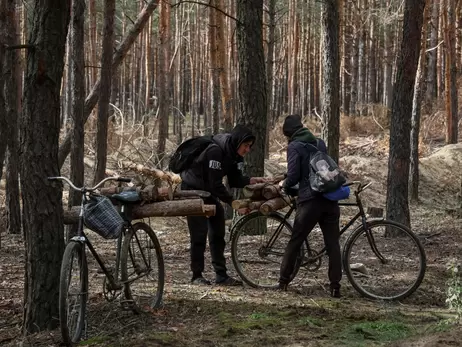 У «Слузі народу» спростували, що «закон про дрова» вимагає документи на їхнє зберігання 