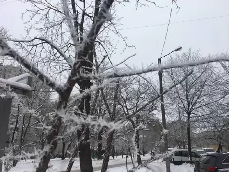 Погода в Украине 28 ноября: из-за циклона пройдет дождь, а ночью ударят морозы