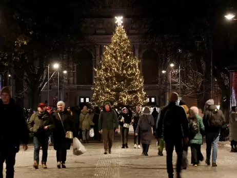 Головну ялинку Львову подарували місцеві жителі - дерево висотою 16 м вирощували 20 років