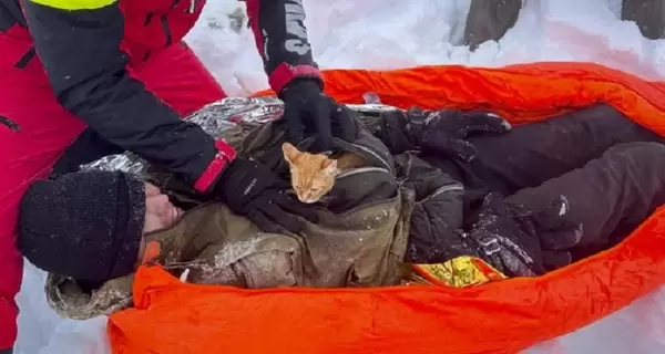 В Румынии спасли украинца с котенком - мужчина пытался избежать мобилизации