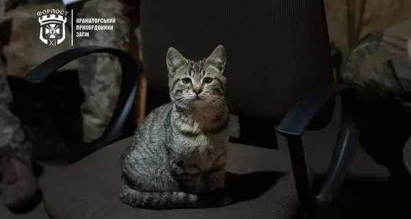 Прикордонники бригади 