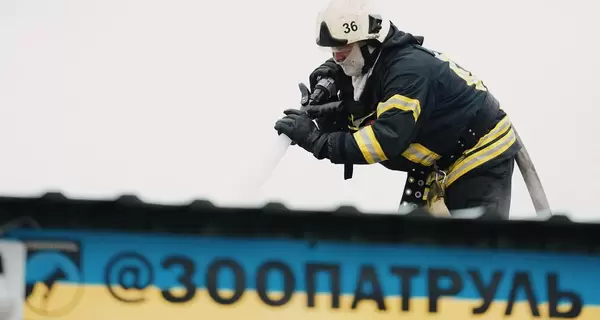 В Ирпене ловят животных, которых пришлось выпустить из-за пожара в приюте