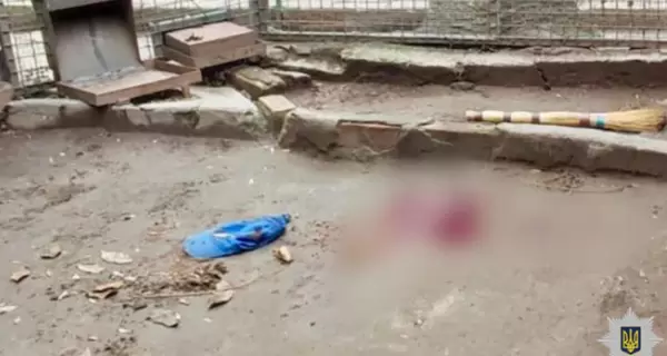 Полиция открыла уголовное дело из-за нападения леопарда на сотрудников Одесского зоопарка