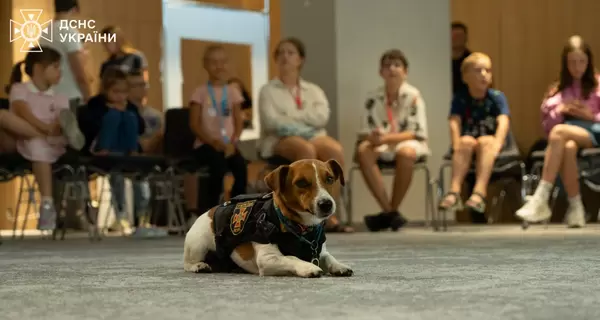 В ГСЧС опровергли гибель пса Патрона - это фейк, он жив и здоров