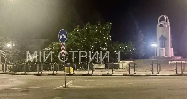 В Стрые Львовской области упала новогодняя елка