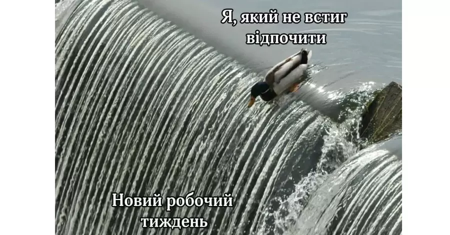 Анекдоти та меми тижня: вихідні мають бути не на свята, а після свят – для відновлення організму