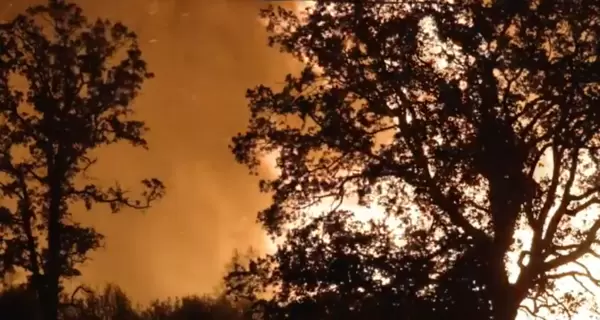 Пожары в Лос-Анджелесе: 300 000 человек остались без электричества, тысячи эвакуируются