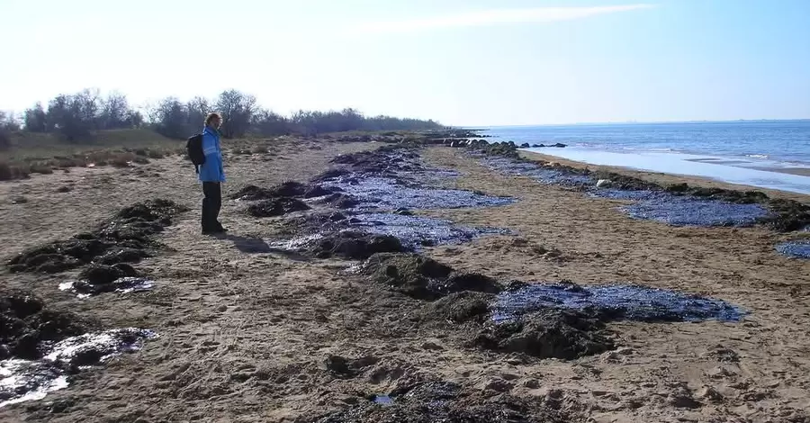 Экологи об утечке российского мазута в Черном море: Погибших дельфинов уже до сотни, а птиц не спасти