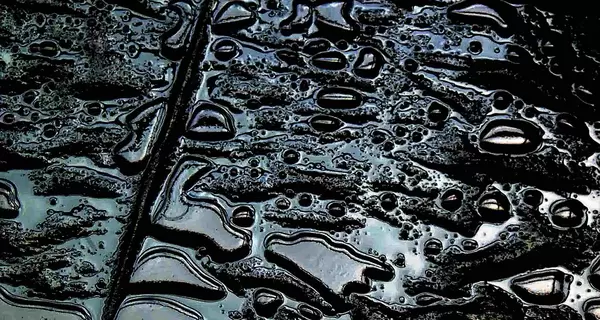 Нефтепродукты из Керченского пролива могут достичь побережья Одессы и Николаева