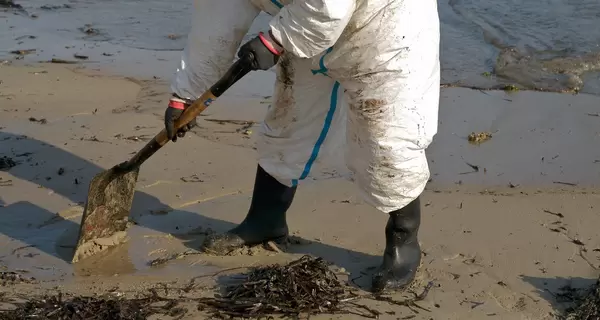 Черное море станет опасным для людей, на восстановление уйдет до 20 лет, - эколог