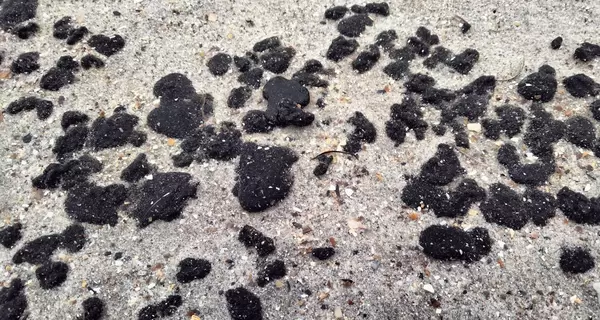 Побережье Одесской области покрылось пятнами из-за мазута из затонувших российских танкеров