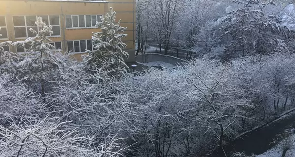 26 января – День таможенника: что сегодня не стоит делать