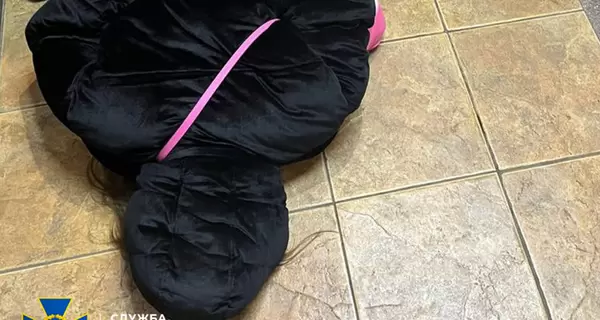 В Киеве задержали российского агента, которая готовила теракт у здания СБУ