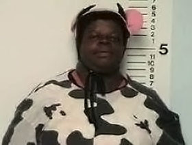 Пьяная женщина в костюме коровы гонялась за детьми ФОТО