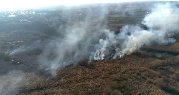 В Украине массово горят леса – в ГСЧС назвали причины