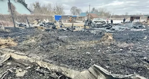 Во время дроновой атаки на Киевщине погибли более 40 домашних животных