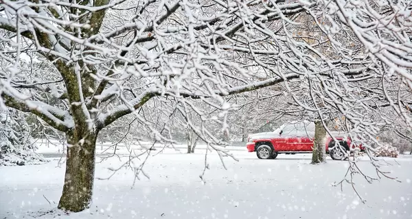 В Украине 24 февраля ожидается похолодание, некоторые области накроет снег