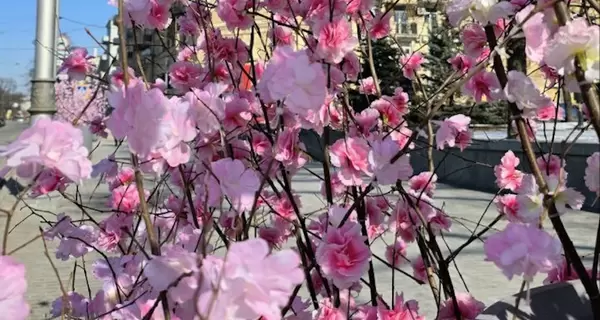 На улицах Харькова появились весенние декорации