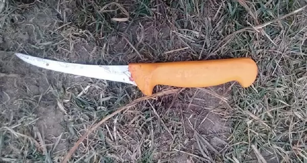 В Тернопольской области погиб мужчина, когда пытался заколоть свинью