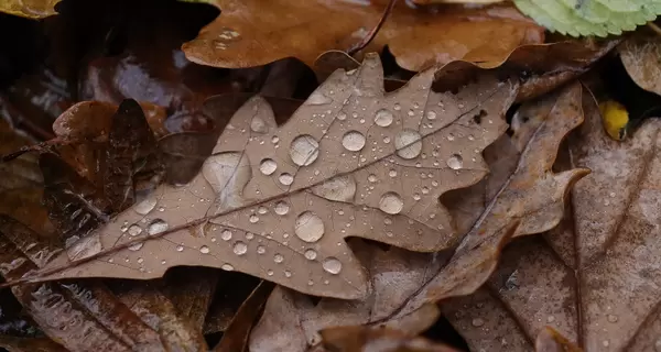 В Украину 3 марта придет потепление, но в некоторых регионах ожидаются снег и дожди