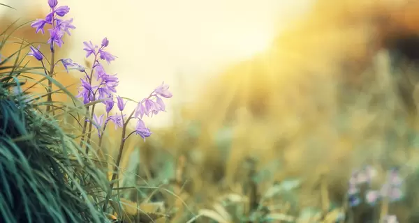 4 марта - какой сегодня праздник, что нельзя делать, традиции, все об этом дне