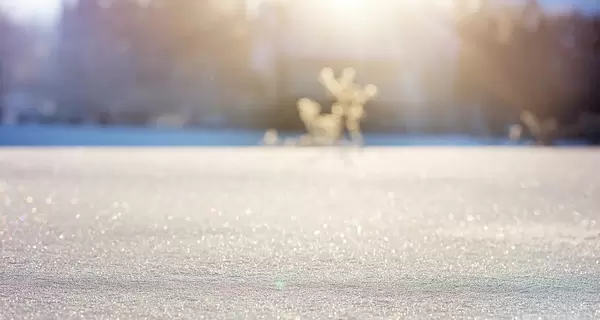 Нынешняя зима в Киеве стала одной из самых теплых за всю историю