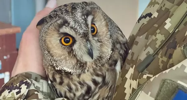 Пограничники показали своего нового 