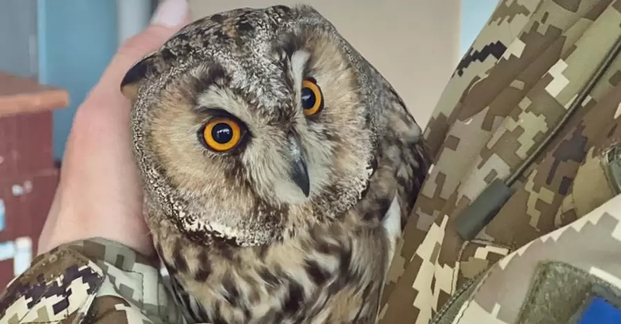 Пограничники показали своего нового 