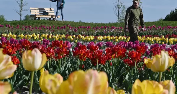 8 Марта в Украине: праздник становится все непопулярнее, но цветы дорожают 