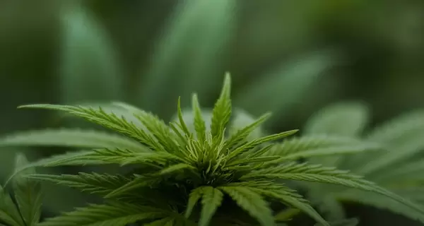 В Украине появилась элекронная система 