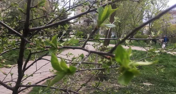 15 березня - яке сьогодні свято, що не можна робити, звичаї і традиції