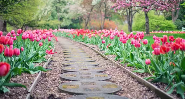 16 марта - какой сегодня праздник, все об этом дне, традиции и запреты