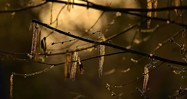 Украинцев предупредили о похолодании 16 марта, в некоторых областях выпадет снег