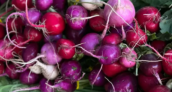 Нитраты в ранних овощах: как от них избавиться в домашних условиях