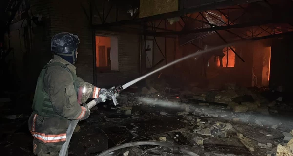 Запорожские спасатели вытащили из-под завалов собаку после российского обстрела